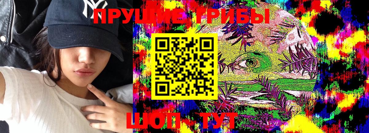 Тимашёвск  Псилоцибиновые грибы Psilocybe  Вход с VPN 